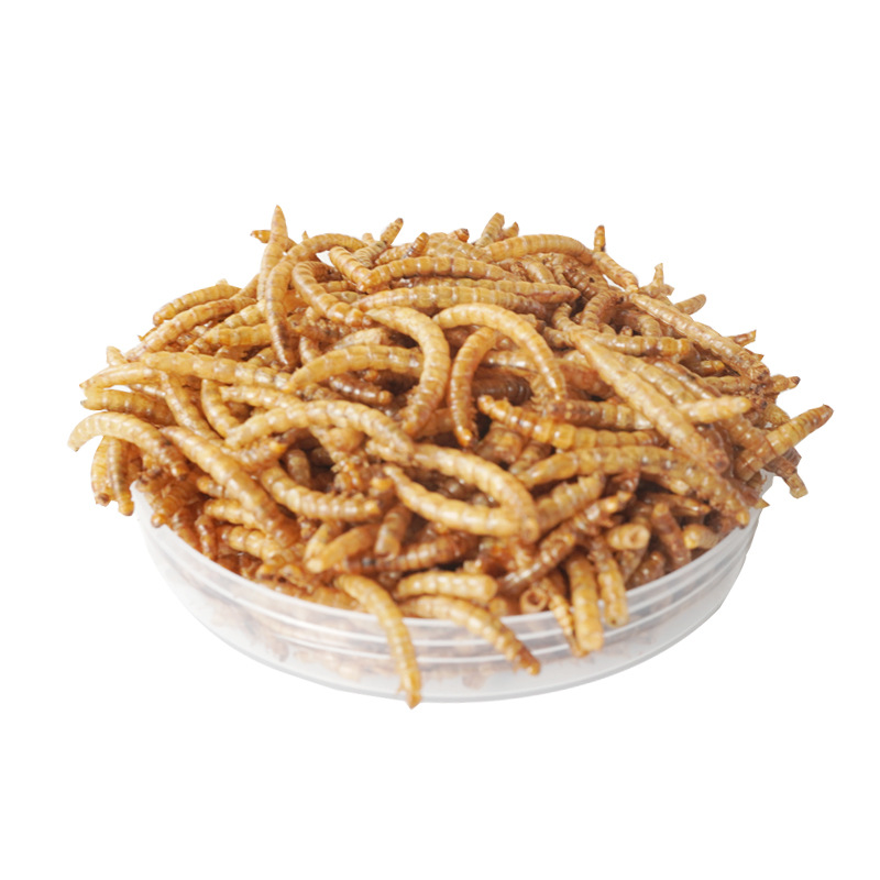 Yüksek Proteinli Atıştırmalıkl - Food Snacks With Protein incelemesi ve fiyatı
